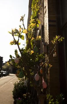 Tree on street with Easter decorations Foto stock