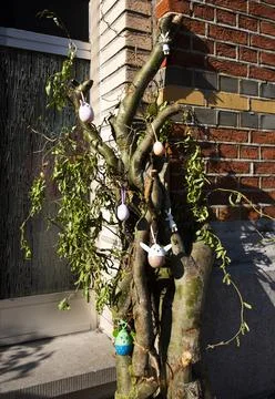 Tree on street with Easter decorations Stock-Fotos