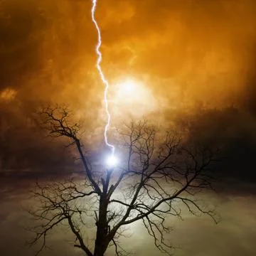 Tree struck by lightning Stock Illustration