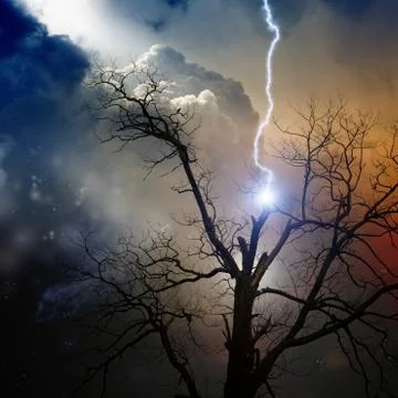 Tree struck by lightning Stock Illustration