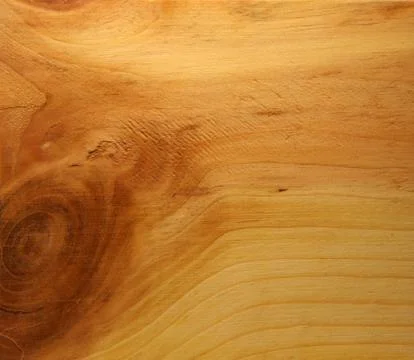 Tree structure Foto stock