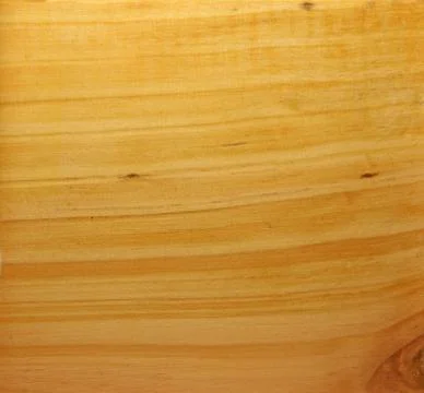 Tree structure Stock Photos