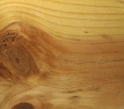 Tree structure Stock Photos