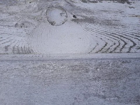 Tree structure 库存照片