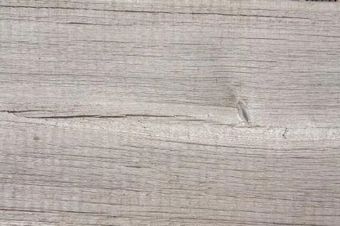 Tree structure Stock Photos