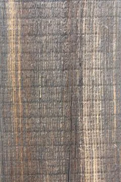 Tree structure Stock Photos