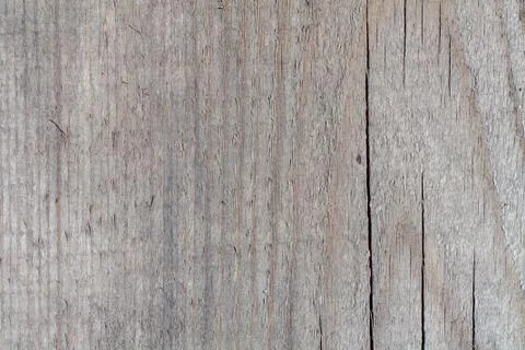 Tree structure Foto stock