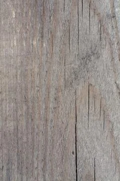 Tree structure Stock Photos