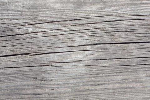 Tree structure Stock Photos