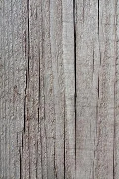 Tree structure Stock Photos