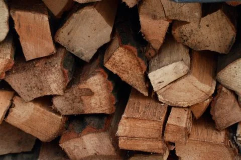 Tree stump background Stock Photos