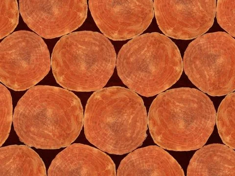 Tree stump background Stock Photos