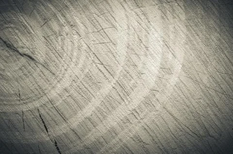 Tree stump background Stock Photos