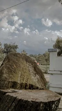Tree Stump with Cloudy Sky Background Stock Photos