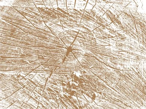 Tree Stump Cross Section with Visible Growth Rings Stock Illustration