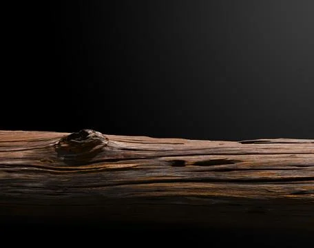 Tree stump on dark black background.. Stock Photos