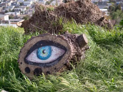 Tree stump with eye artwork painted on Stock Photos
