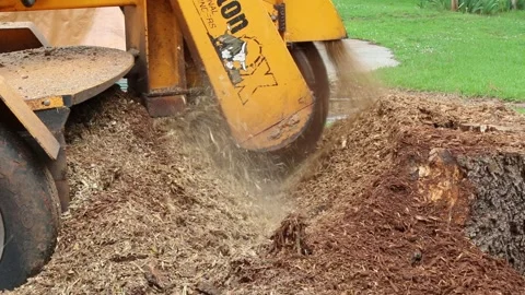 Tree Stump Grinder Removing Large In Ground Tree Stump Stock Footage 169763427