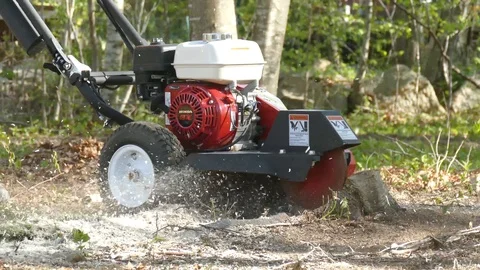 Tree Stump Grinding Stock Footage 107850478