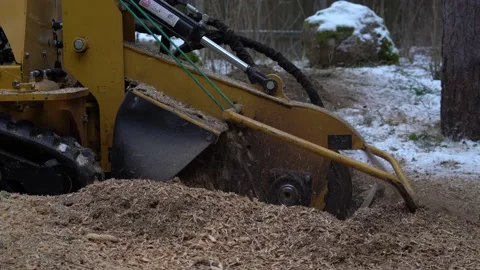 Tree stump grinding Stock Footage 149995081