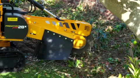 Tree stump grinding machine Stock Footage 130596467