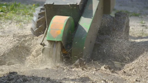 The tree stump on the ground with the blade of the truck Stock Footage 138609829