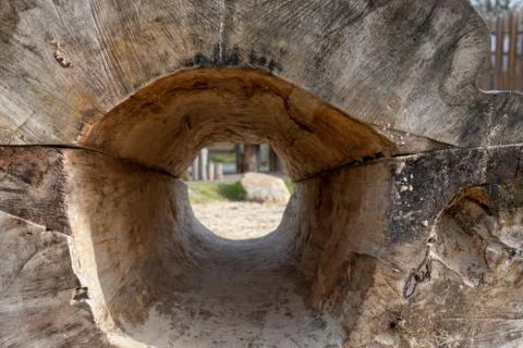 Tree stump with hole inside Stock Photos