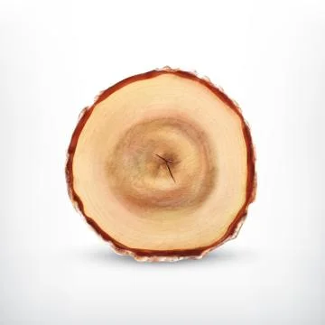 Tree stump 스톡 일러스트