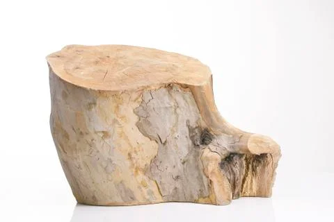 Tree stump isolated on white background Stock Photos