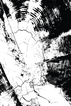 Tree stump macro texture Stock Illustration