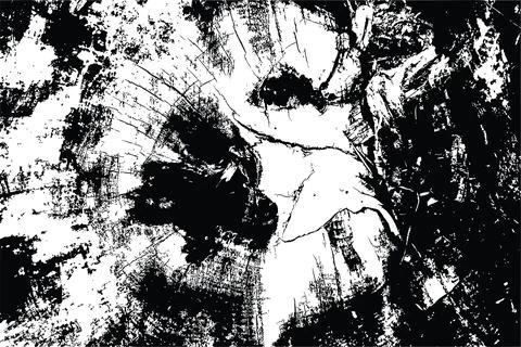 Tree stump macro texture Illustrazione stock