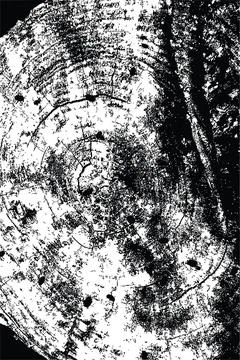 Tree stump macro texture Stock Illustration