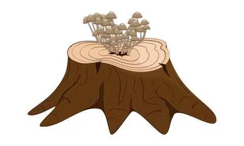 Tree stump with mushrooms. Stock vector illustration. Stock Illustration
