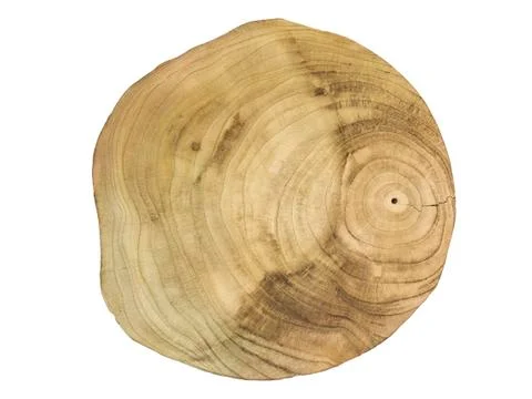 Tree stump Stock Photos