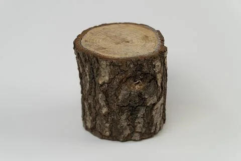 Tree stump Stock-Fotos