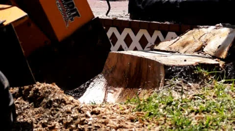 Tree stump removal equipment Stock Footage 22826362
