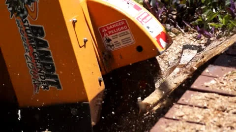 Tree stump removal equipment Stock Footage 22827490