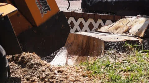 Tree stump removal equipment Stock Footage 22843827