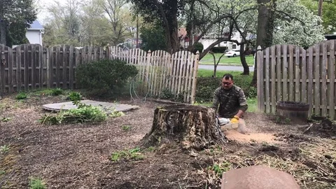 Tree Stump Removal Stock Footage 106634451