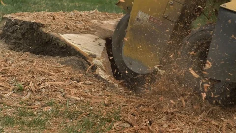 Tree Stump Removal Stock Footage 121272523
