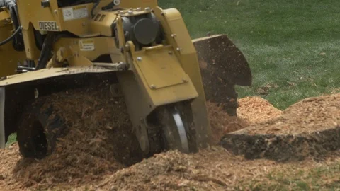 Tree Stump Removal Stock Footage 121272650
