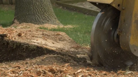 Tree Stump Removal Stock Footage 121272763