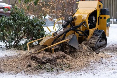 Tree stump removing process with yellow stump grinder Stock Photos