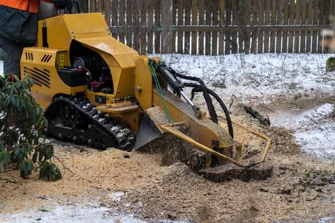 Tree stump removing process with yellow stump grinder Stock Photos