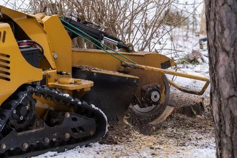 Tree stump removing process with yellow stump grinder Stock Photos