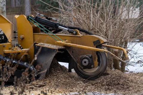Tree stump removing process with yellow stump grinder Stock Photos