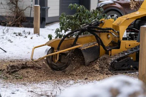 Tree stump removing process with yellow stump grinder Stock Photos