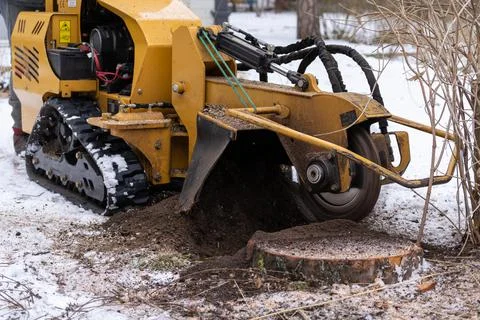 Tree stump removing process with yellow stump grinder Stock Photos