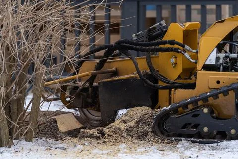 Tree stump removing process with yellow stump grinder Stock Photos