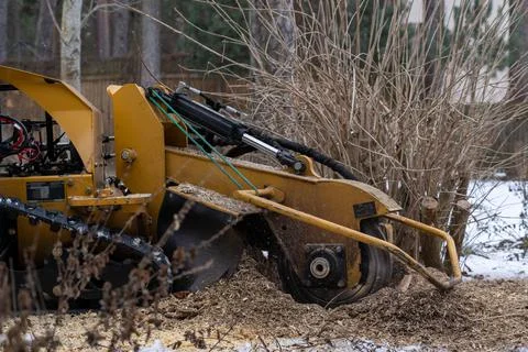 Tree stump removing process with yellow stump grinder Stock Photos